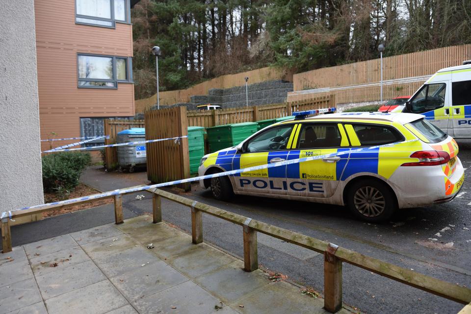 Police at the scene at Wallace Court