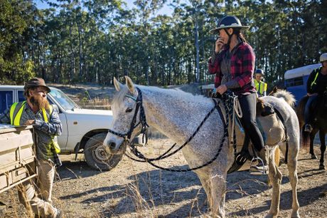 Search for missing horse Ben in Yuraygir National Park.