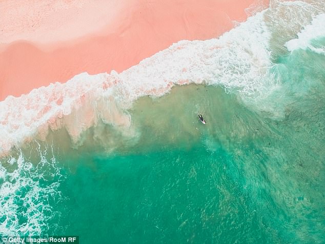 A police statement said: 'The man, who is from Queensland, has been charged with assault with an act of indecency' (Pictured: Bondi Beach stock image)